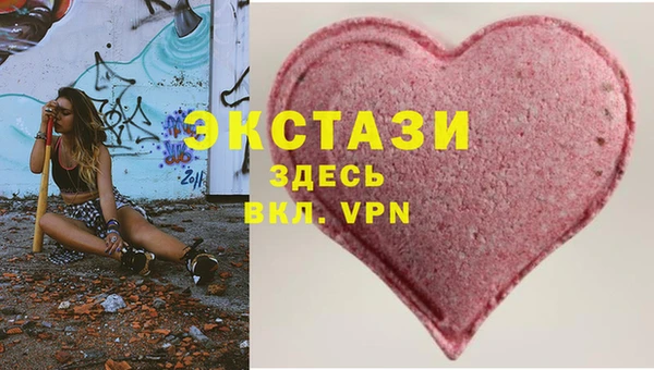 прущие грибы Вязники