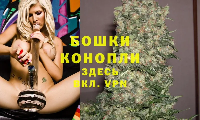 наркотики  Краснозаводск  Канабис SATIVA & INDICA 